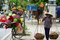 Thơ: Phố nhà em