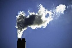 Lưu ý gì khi tham gia thị trường tín chỉ carbon
