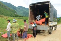 Người dân Pú Nhung chủ động, tự lực vươn lên