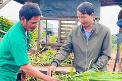 'Đảng viên đi trước...'