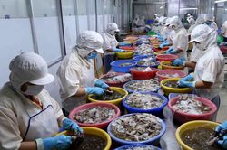 Khoa học và công nghệ - động lực phát triển kinh tế, xã hội địa phương