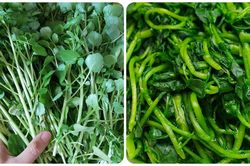 Tác hại của rau cải xoong ít người biết