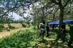 Phát hiện thi thể dưới sông, phần đầu có nhiều vết thương
