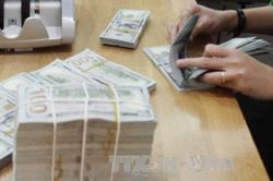 Giá USD hôm nay 21/8