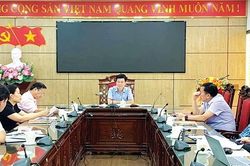 Khắc phục bất cập trong pháp luật về đấu thầu