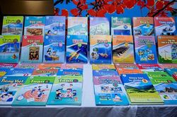 Sách giáo khoa do Bộ Giáo dục và Đào tạo biên soạn: Nhiều băn khoăn
