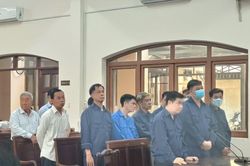 Xét xử nguyên Giám đốc Sở Tài nguyên và Môi trường Đồng Nai cùng 12 đồng phạm