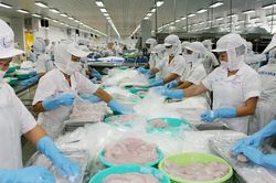 VCCI đề xuất giảm tỷ lệ đóng bảo hiểm xã hội xuống 20%