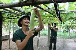 Vượt khó để tăng gia sản xuất