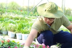 Điểm chuẩn Học viện Nông nghiệp Việt Nam năm 2023