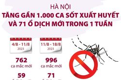 Hà Nội: Tăng gần 1.000 ca sốt xuất huyết và 71 ổ dịch mới trong một tuần