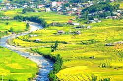 Nhộn nhịp thị trường tour dịp nghỉ lễ Quốc khánh