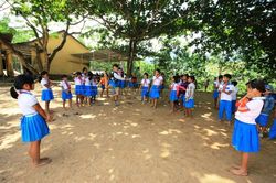 Không tìm được tiêu chuẩn, Quảng Nam dừng chương trình sữa học đường học sinh huyện miền núi