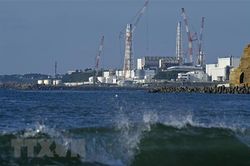 IAEA đảm bảo chia sẻ thông tin về nước xả thải từ Fukushima