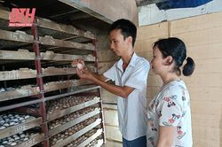 Tình yêu viết nên câu chuyện cổ tích