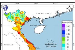 Trong 1 tháng tới, Biển Đông khả năng đón 1-2 cơn bão và áp thấp