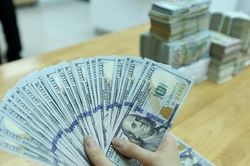 Áp lực tỷ giá càng căng thẳng, dư địa giảm lãi suất càng thu hẹp
