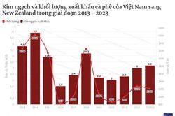 Xuất khẩu cà phê sang New Zealand tăng 144% về trị giá