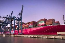 Đề xuất tăng giá dịch vụ hoa tiêu