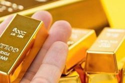 Giá vàng hôm nay 23/8: Kim loại quý hồi phục nhẹ