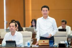 Sẽ quy định một mức giá khởi điểm cho tất cả sim số đẹp được đưa ra đấu giá