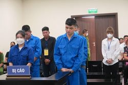 'Bà trùm' lôi kéo hàng loạt người thân vào đường dây mang thai hộ