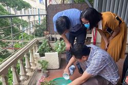 Hà Nội: Sốt xuất huyết bùng phát bất thường, đỉnh dịch có thể đến sớm hơn