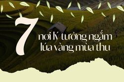 7 nơi lý tưởng ngắm lúa vàng mùa thu