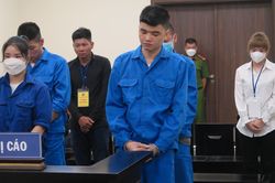 Đường dây mang thai hộ và chuyện người đàn ông về hưu muốn có con trai