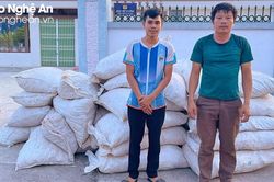 Nghệ An phát hiện xe tải khoét thùng chở 4,5 tấn gỗ trắc và vảy tê tê