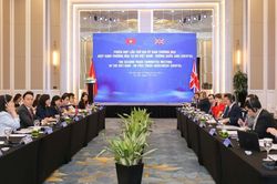 Ủy ban thương mại Hiệp định Thương mại Tự do Việt Nam - Vương quốc Anh (UKVFTA) họp phiên thứ 2