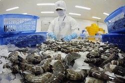 Ngành tôm đối diện 'nút thắt cổ chai', chuyên gia nói phải lấy 2024 làm năm bản lề cho hồi phục