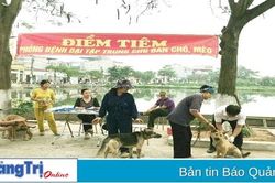 Đẩy mạnh tiêm phòng vắc xin dại cho đàn chó, mèo