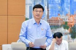 Chủ nhiệm Ủy ban Kinh tế: 'Khuyến khích' giao dịch bất động sản thông qua sàn