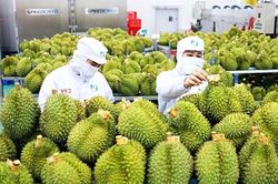 Thương mại Việt Nam – Trung Quốc đạt gần 90 tỷ USD