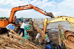 Cà Mau công bố tình huống khẩn cấp sạt lở bờ biển
