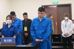 Cả gia đình 'dẫn nhau' vào tù vì tham gia đường dây mang thai hộ