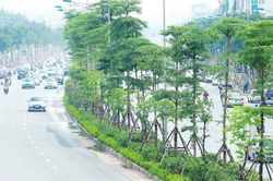 Chuẩn bị xét xử vụ án thứ 4 liên quan đến cựu Chủ tịch UBND TP Hà Nội Nguyễn Đức Chung