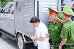 Nguyễn Đức Chung và các bị cáo trong vụ án nâng khống giá cây xanh tới tòa
