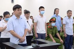 Bị cáo Nguyễn Đức Chung khai về quá trình tạo điều kiện nâng giá cây xanh tại Hà Nội