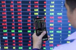 Bluechip quay xe nhìn cổ phiếu tôm cá nhảy 'tanh tách'