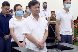 Cựu chủ tịch Công ty Cây xanh khai bị ông Nguyễn Đức Chung mắng, dọa đuổi việc