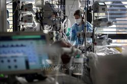 Các nhà khoa học trấn an bất chấp biến thể COVID-19 xuất hiện ở nhiều nước