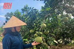Yên Định phát triển kinh tế trang trại theo hướng bền vững