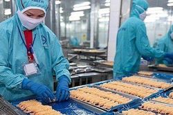 SSI Research: Biên lãi gộp của Sao Ta cải thiện hơn về cuối năm, lợi nhuận năm nay có thể vượt qua năm ngoái