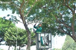 Ra quân cắt tỉa cây xanh chủ động phòng, chống bão năm 2023