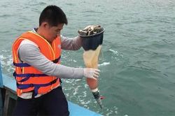 Bảo tồn thiên nhiên, phát triển sinh kế