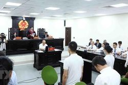 Vụ nâng khống giá cây xanh tại Hà Nội: Cách ly ông Nguyễn Đức Chung trước phần xét hỏi, lời khai của các bị cáo