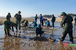 Ngày chủ nhật xanh làm sạch môi trường biển
