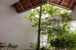 Mê mẩn căn nhà có cây xanh và lợp mái hiên bằng đất nung